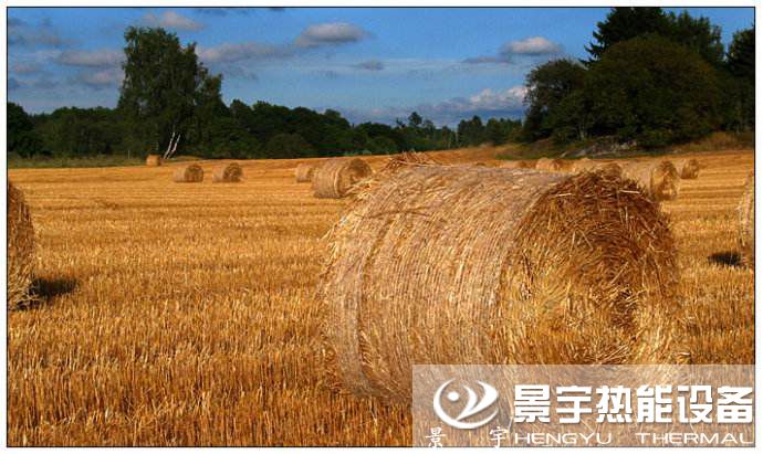 生物質(zhì)鍋爐燃料來(lái)源有哪些